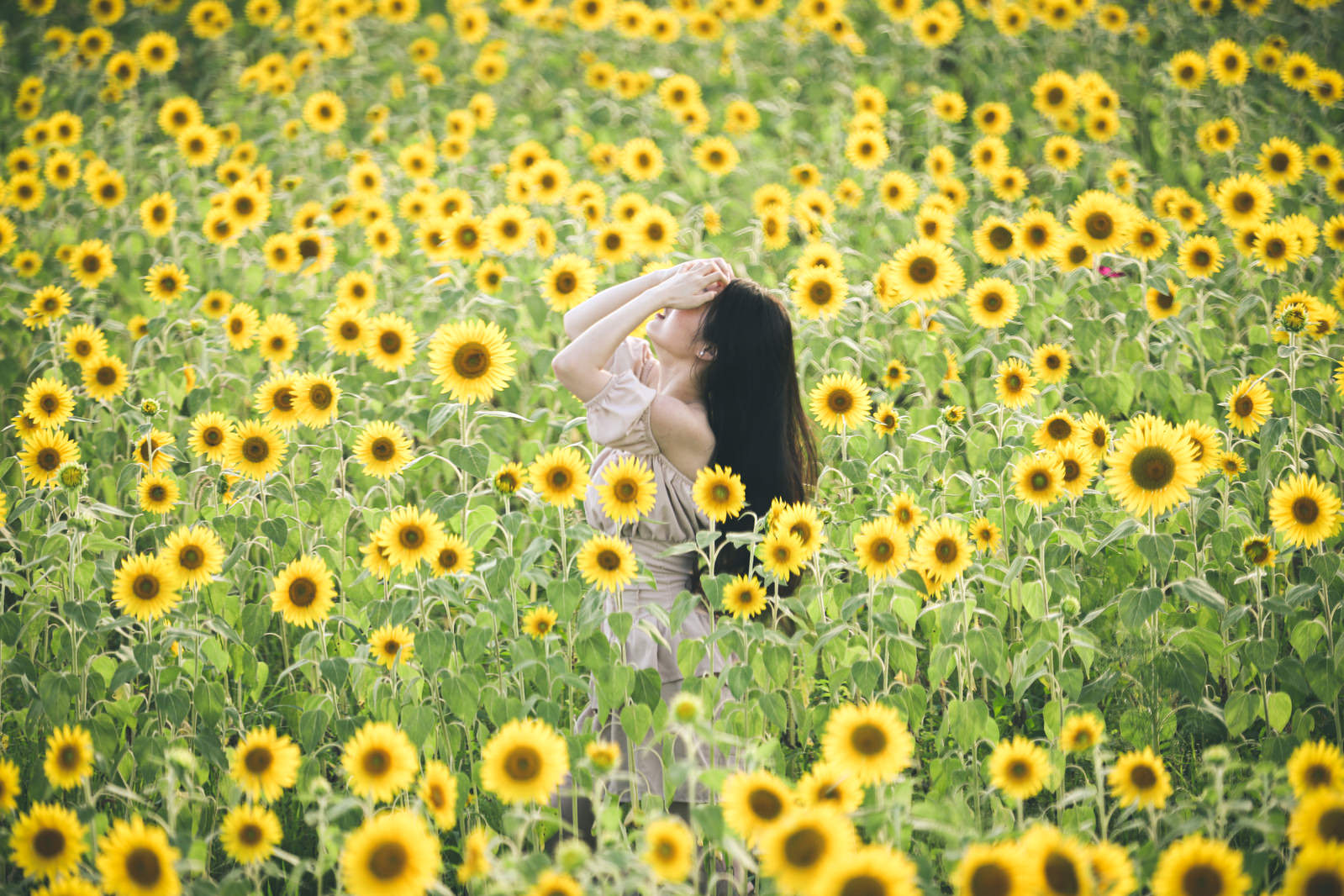 花畑にいる女性